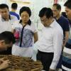 区委书记黄敏率队来文化潮汕博览园、宝安艺术城调研