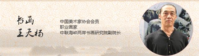 王天杨
