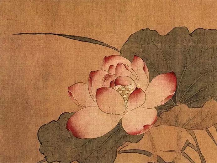 荷花图 明代周之冕
