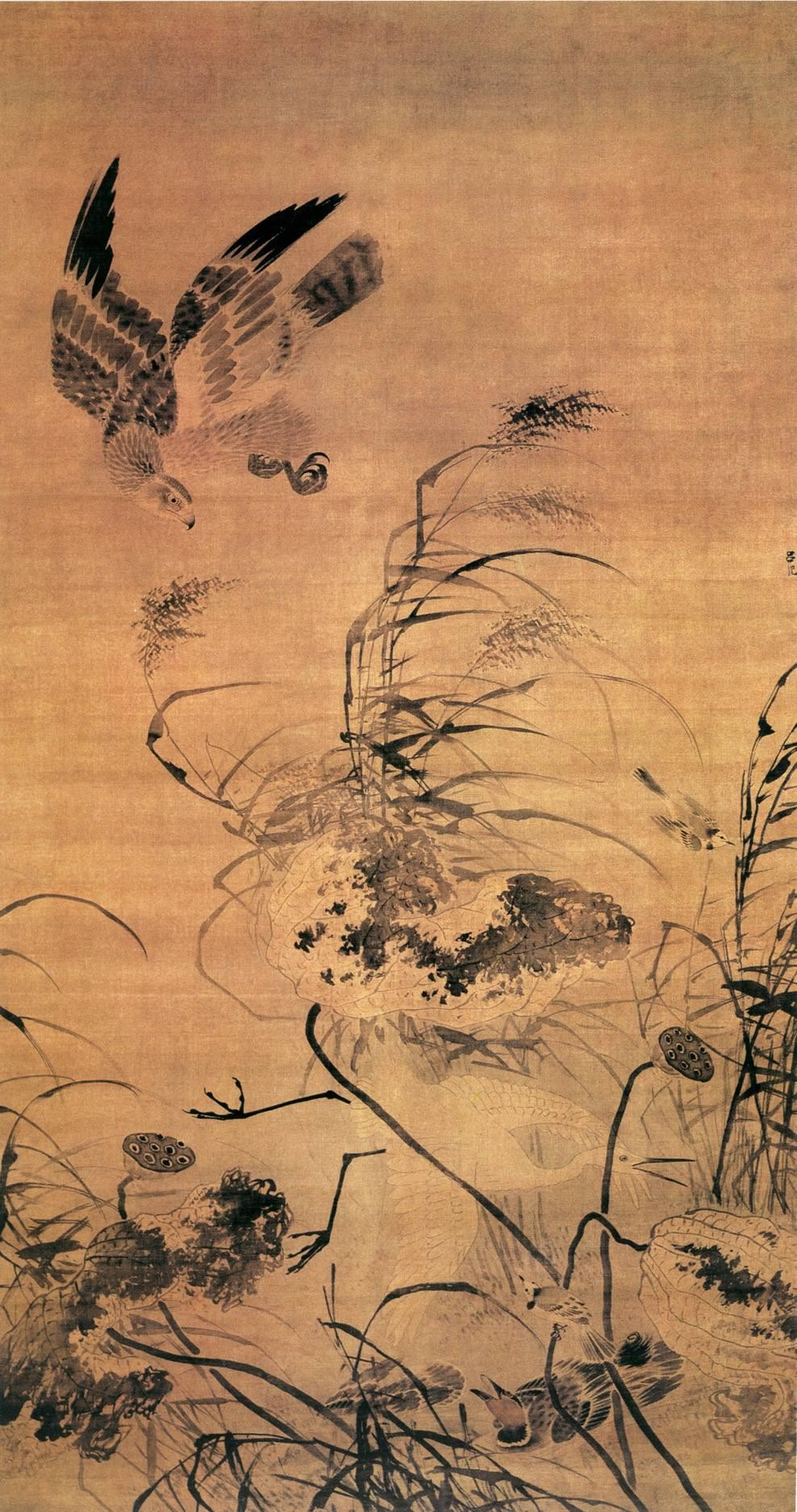 国画荷花图片大全
