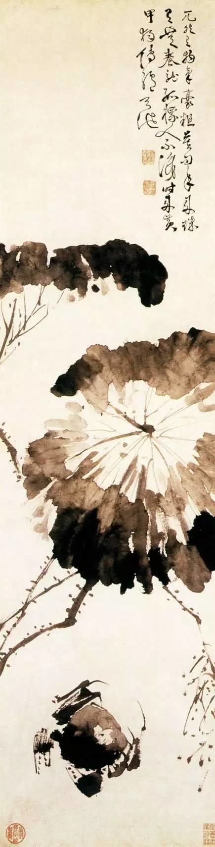 国画荷花图片大全