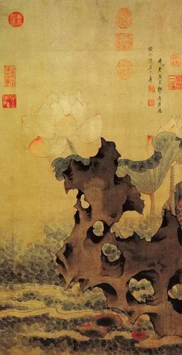 国画荷花图片大全