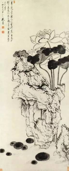 国画荷花图片大全