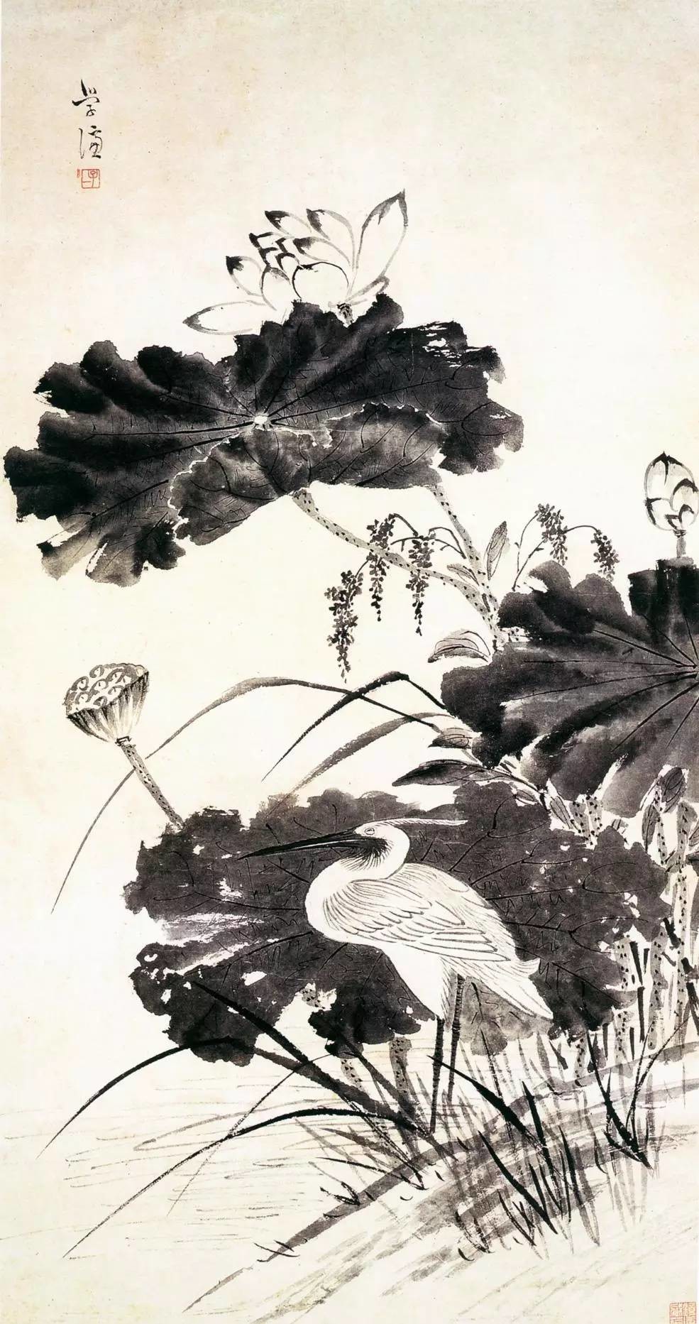 国画荷花图片大全