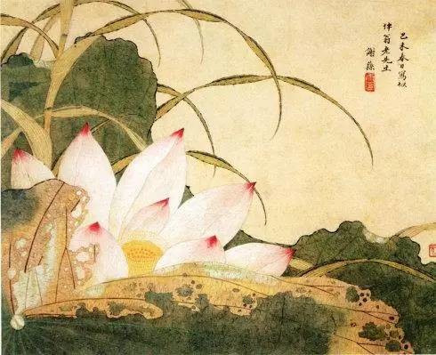 国画荷花图片大全