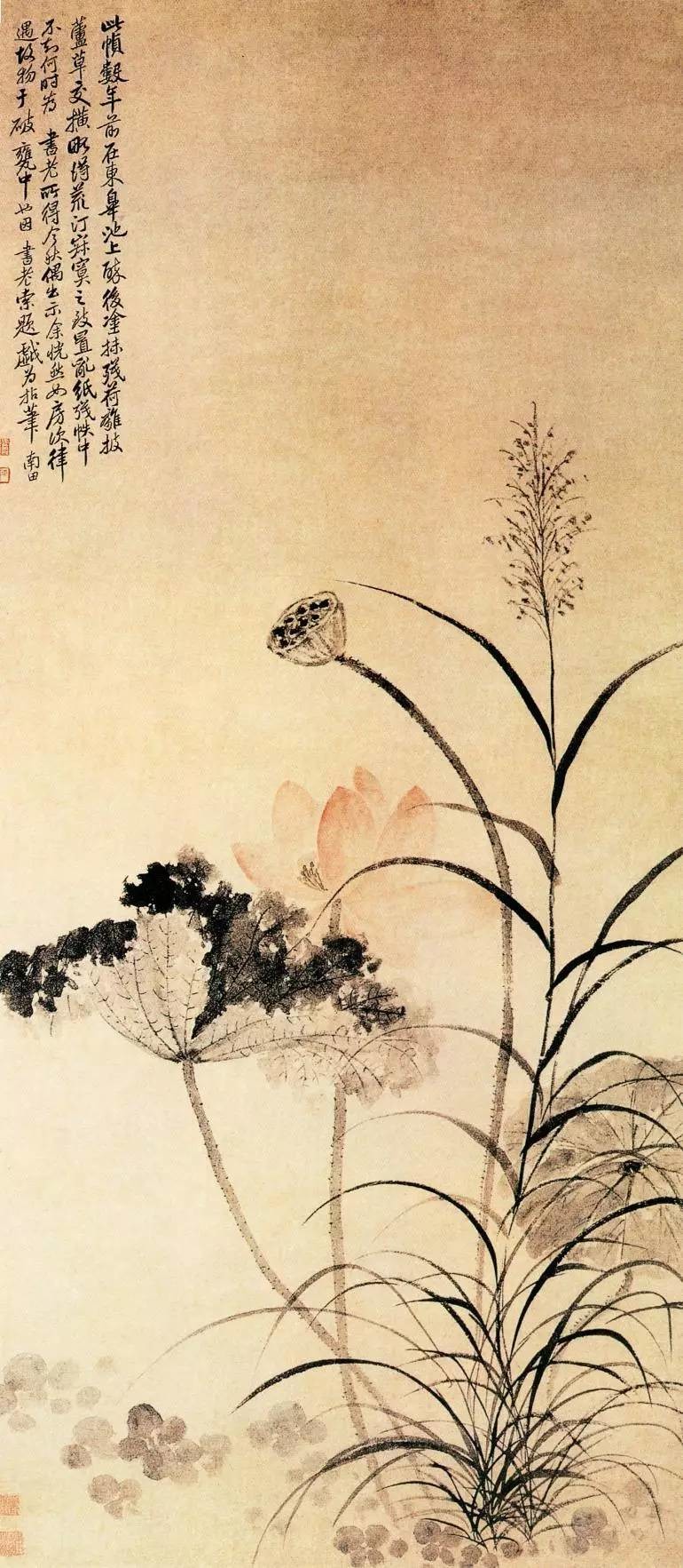 国画荷花图片大全