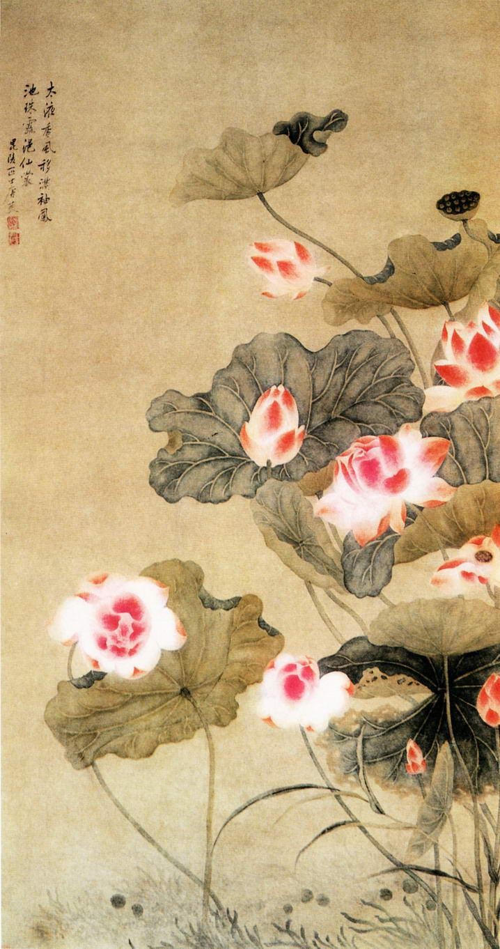 国画荷花图片大全